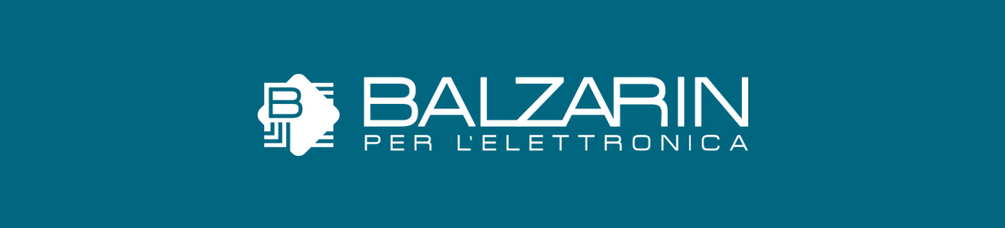 balzaservizi-dati-societari